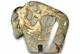 Calcite-Filled Polished Septarian Bison - Utah #301483-2